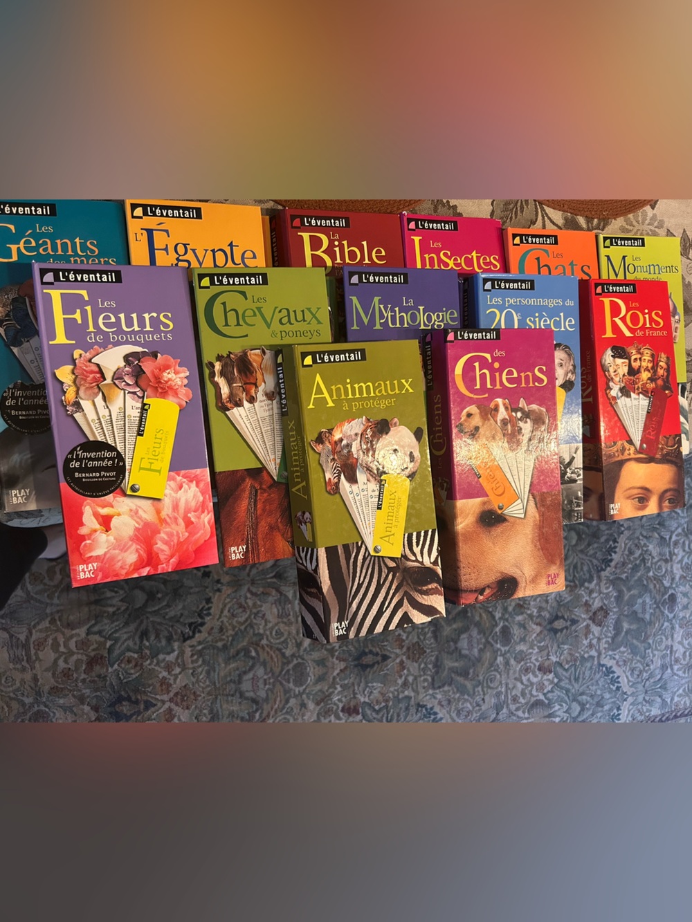 L’éventail collection jeunesse 13 livres